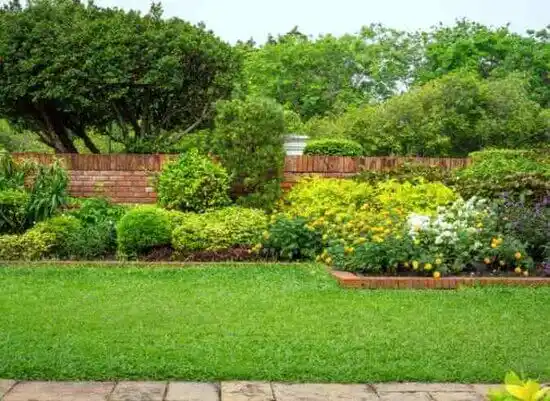 landscaping services Lake Mykee Town